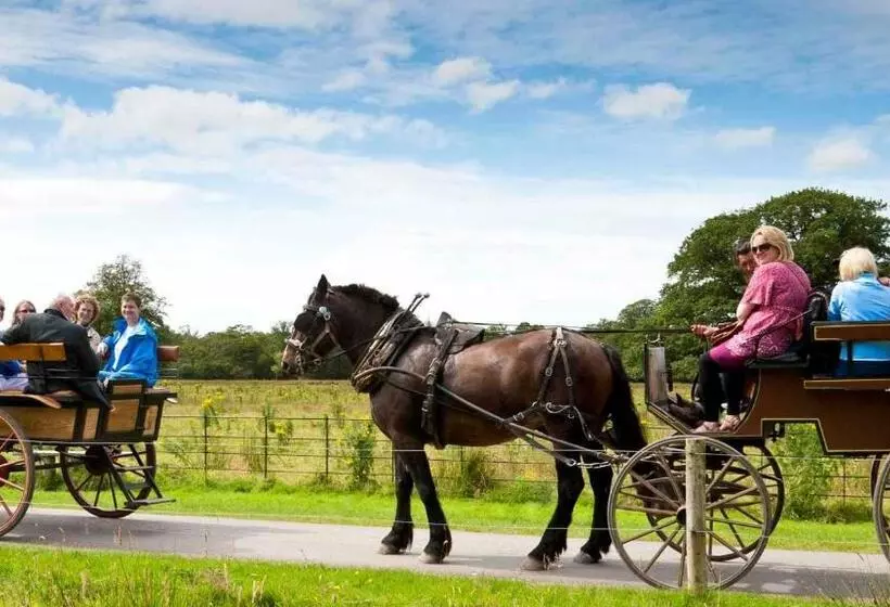 Fotos del hotel Muckross Park Hotel & Spa:  14