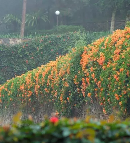 Fotos del hotel Puteri Gunung:  12