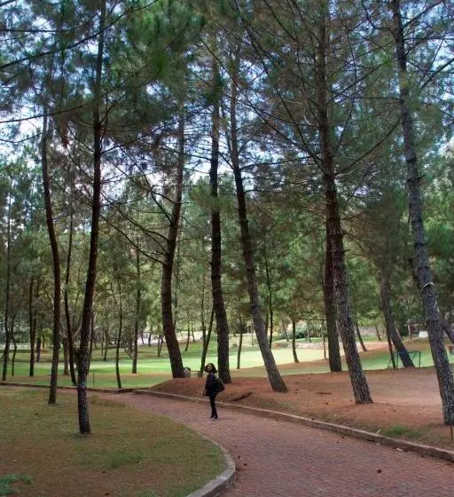 Fotos del hotel Puteri Gunung:  18