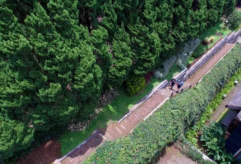 Fotos del hotel Puteri Gunung:  15