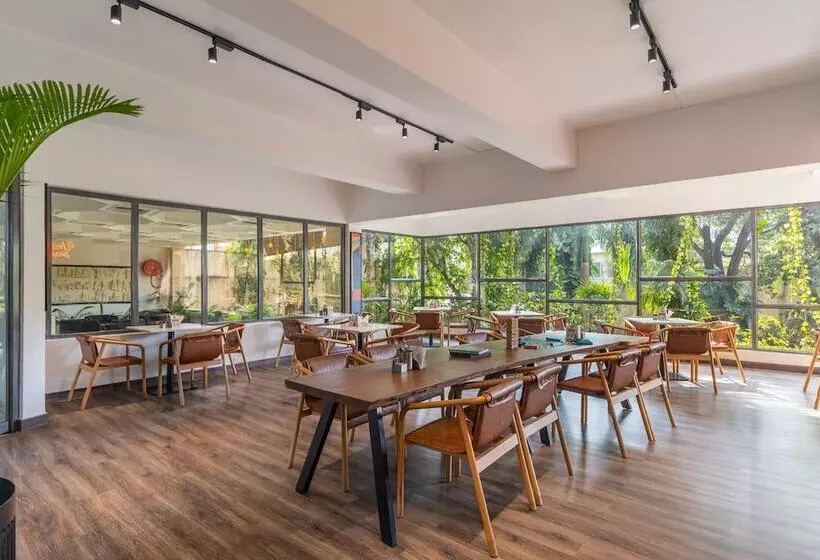 Fotos del hotel Rajdarshan:  6