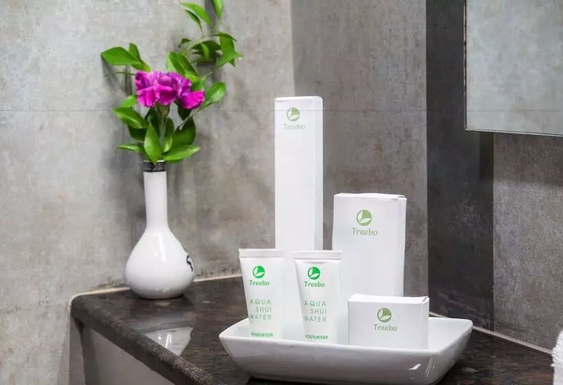 Fotos del hotel Treebo Trend Ambassador:  24