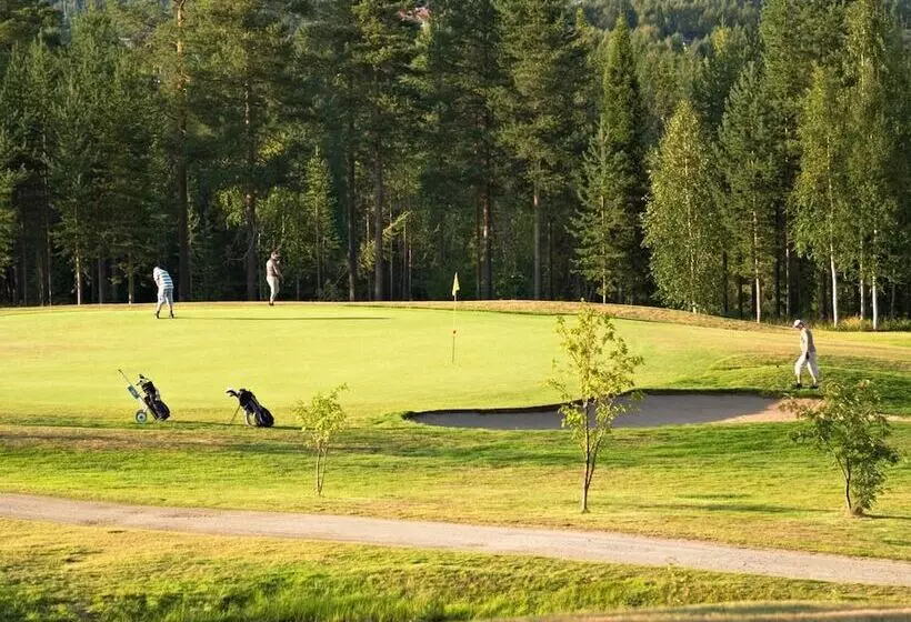 Fotos del hotel Original Sokos Hotel Vaakuna Rovaniemi:  4