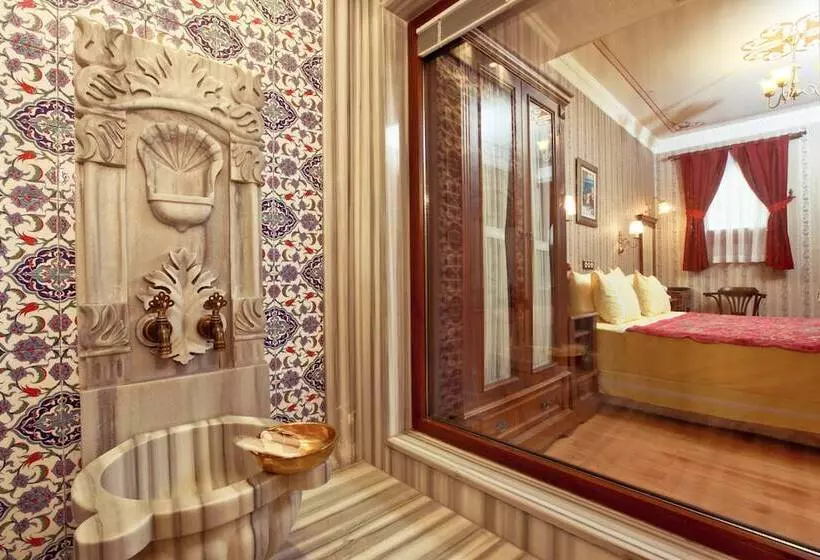 Fotos del hotel Dersaadet Hotel Istanbul:  8