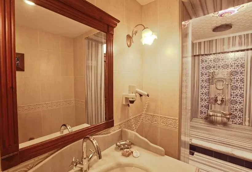 Fotos del hotel Dersaadet Hotel Istanbul:  6