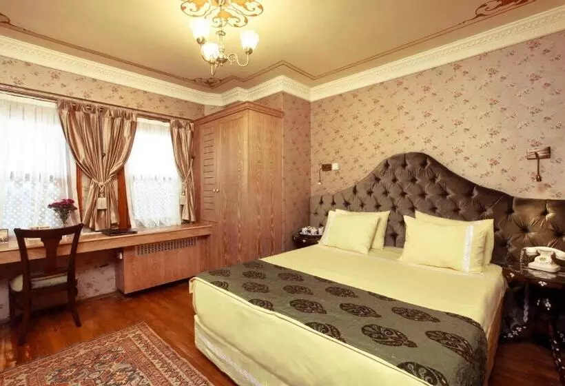 Fotos del hotel Dersaadet Hotel Istanbul:  16