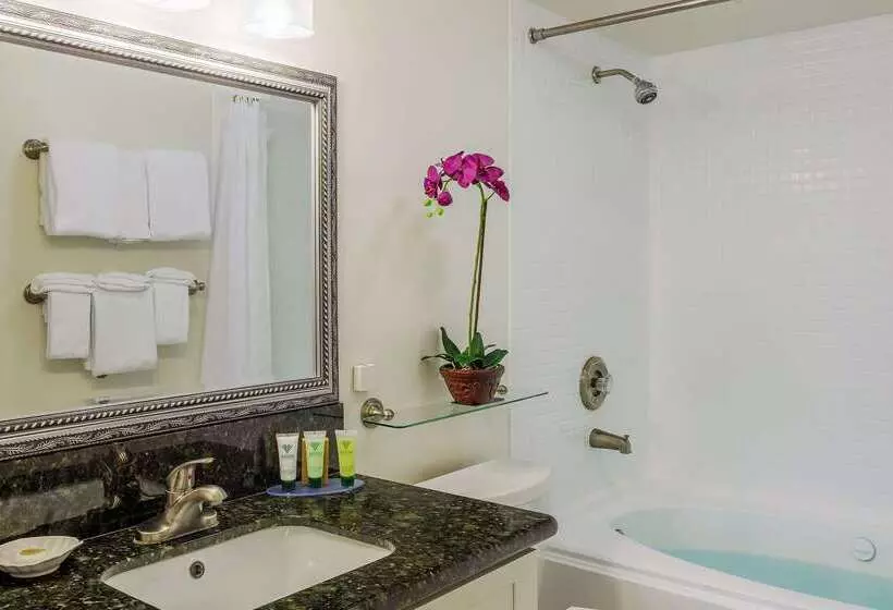 Fotos del hotel Aston At The Executive Centre:  13