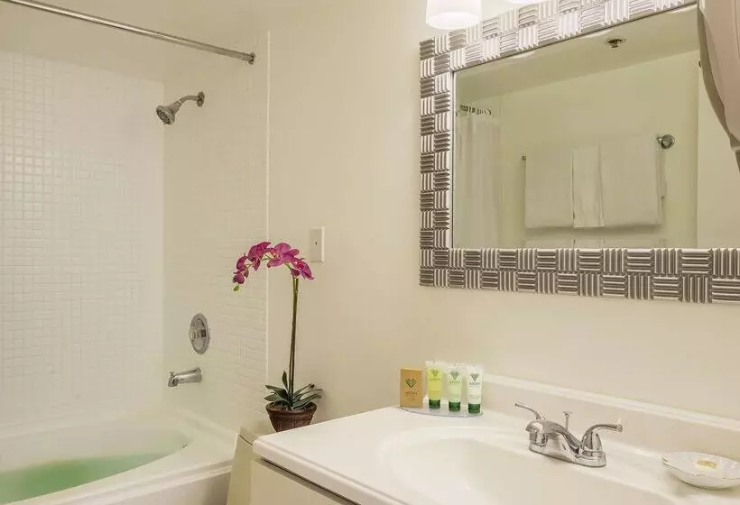 Fotos del hotel Aston At The Executive Centre:  7