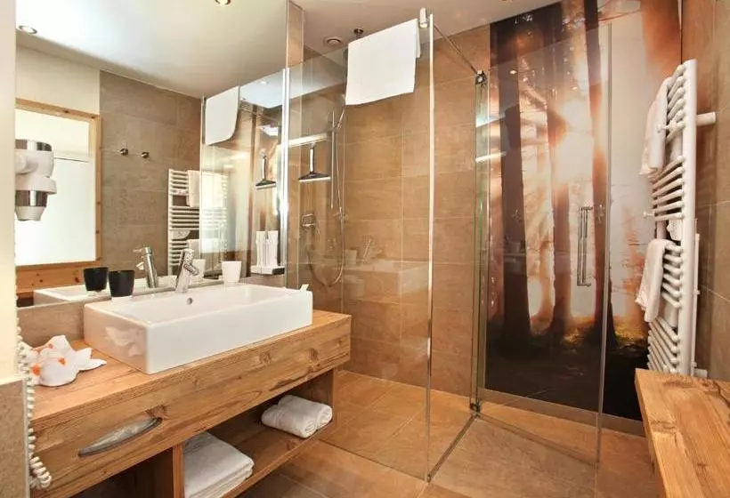 Fotos del hotel Haidvogl Kinder Zell Am See:  6