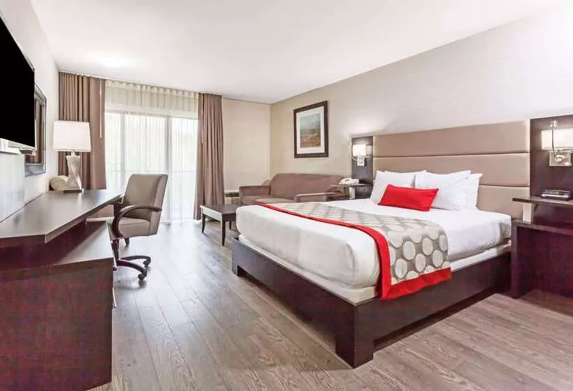 Fotos del hotel Ramada By Wyndham Ottawa On The Rideau:  21