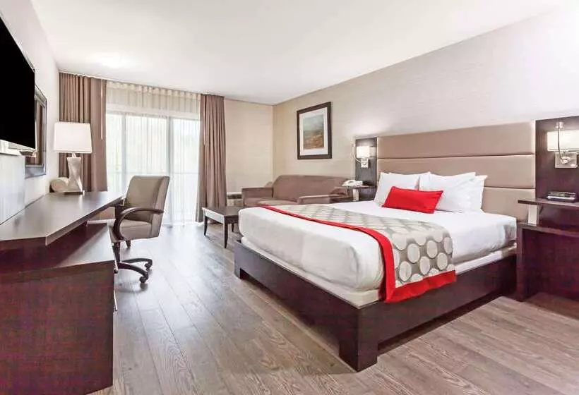 Fotos del hotel Ramada By Wyndham Ottawa On The Rideau:  23