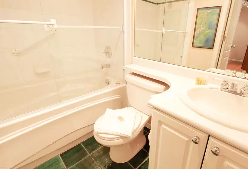 Fotos del hotel Town Plaza:  22