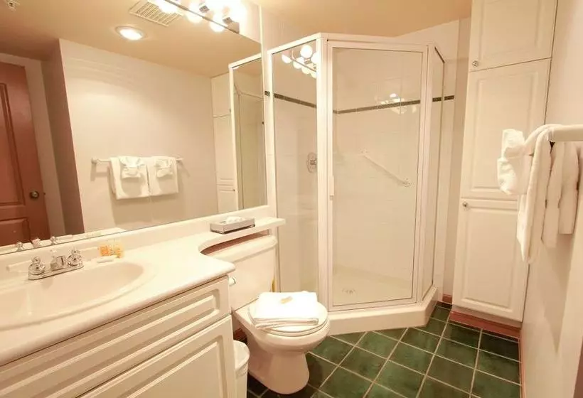 Fotos del hotel Town Plaza:  23