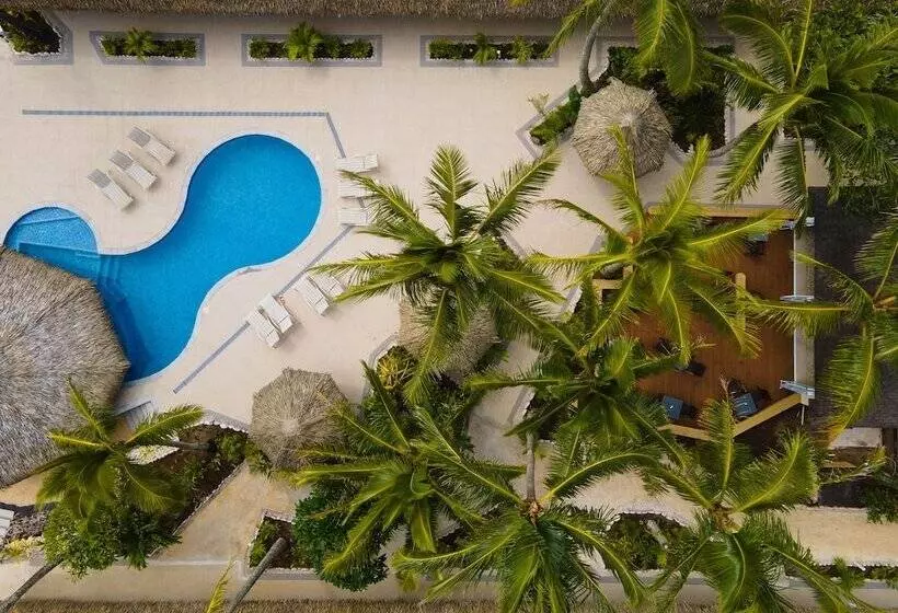 Fotos del hotel Club Raro Resort:  1