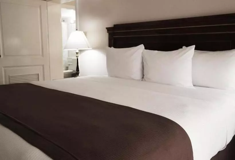 Fotos del hotel El Prado:  13