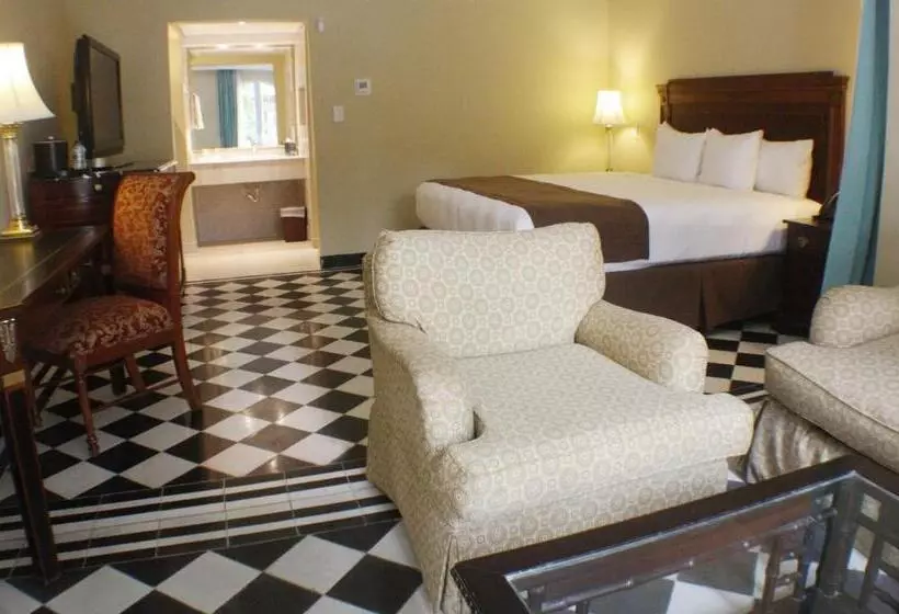 Fotos del hotel El Prado:  6