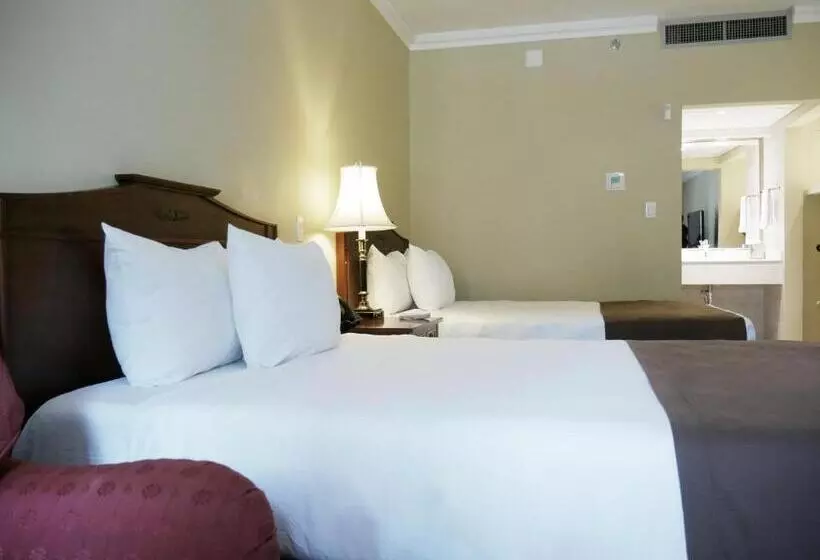 Fotos del hotel El Prado:  23