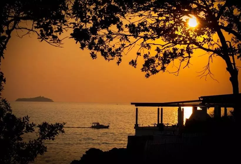 Fotos del hotel Royal Neptun:  25