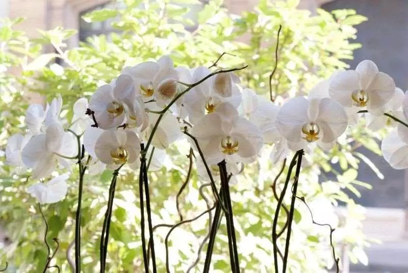 Fotos del hotel Louvre Marsollier Opera:  12