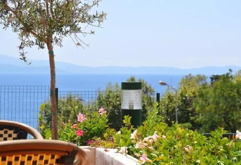 Fotos del hotel Sun Beach Hôtel:  17