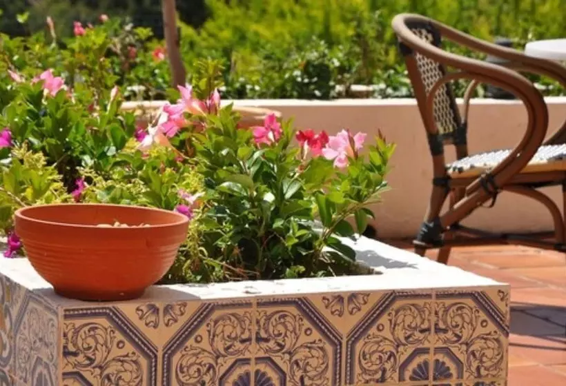 Fotos del hotel Sun Beach Hôtel:  6