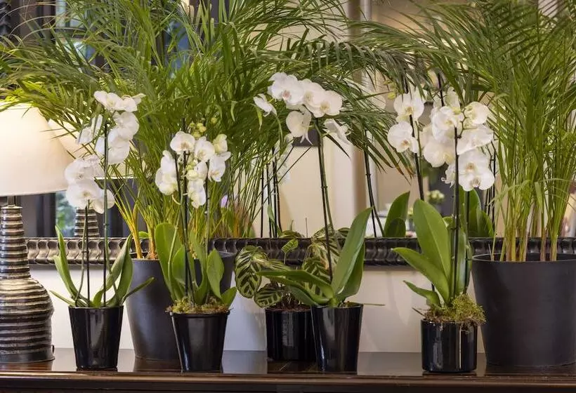 Fotos del hotel La Villa Madame:  6