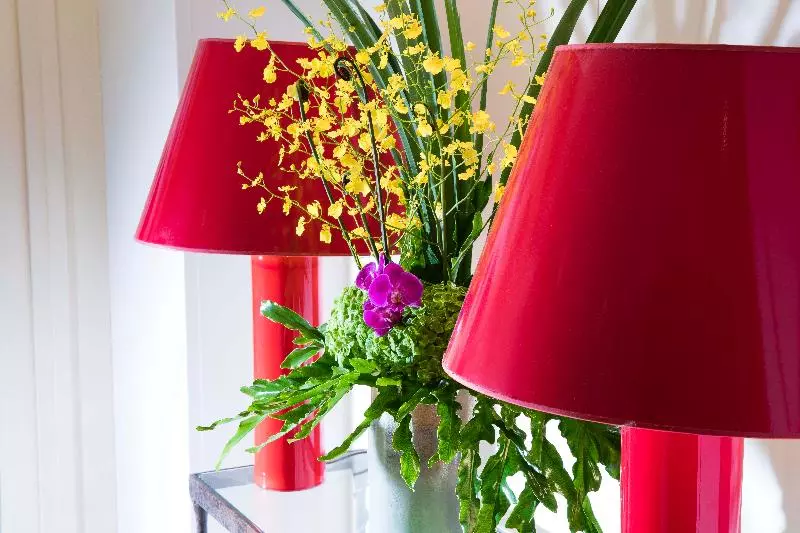 Fotos del hotel Vignon:  5