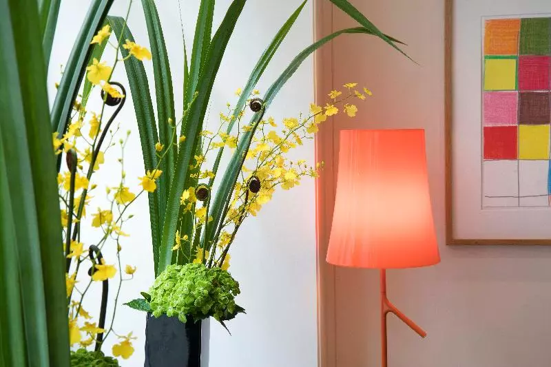 Fotos del hotel Vignon:  9