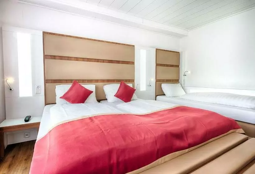 Fotos del hotel Senator:  18