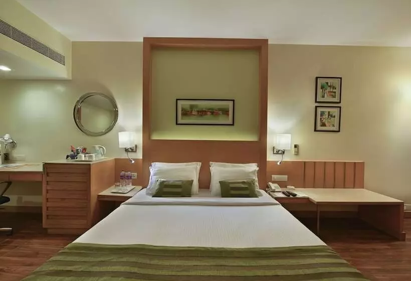 Fotos del hotel Comfort Inn Heritage:  16