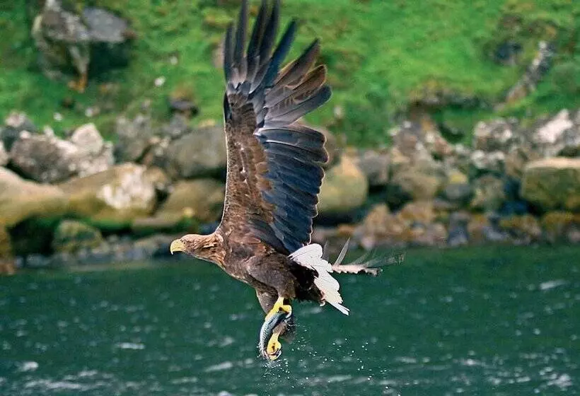 Fotos del hotel Killarney Towers Hotel & Leisure Centre:  3