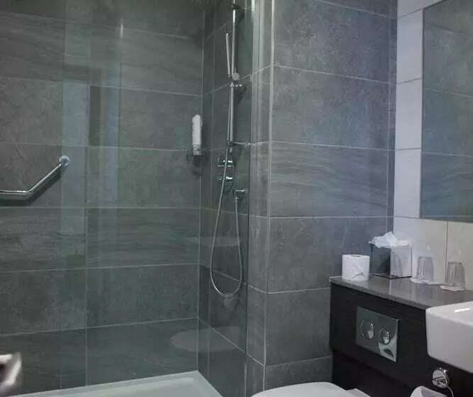 Fotos del hotel Maldron  Pearse Street:  11