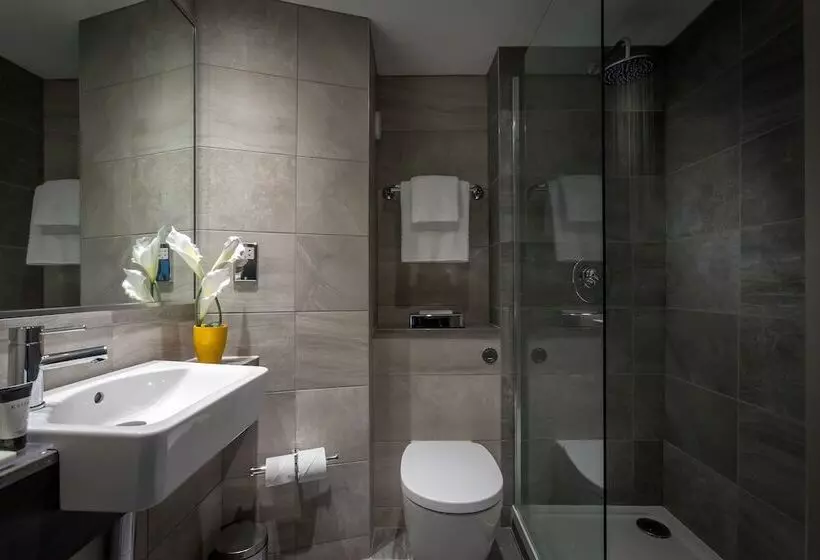 Fotos del hotel Maldron  Pearse Street:  5