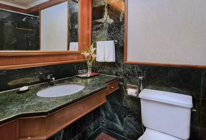 Fotos del hotel The Ummed Ahmedabad Airport:  6