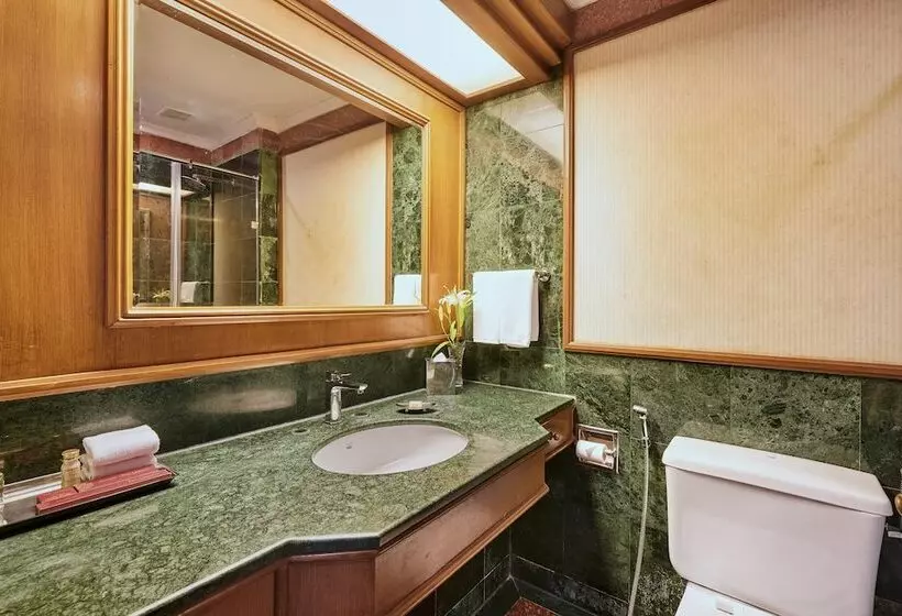 Fotos del hotel The Ummed Ahmedabad Airport:  12