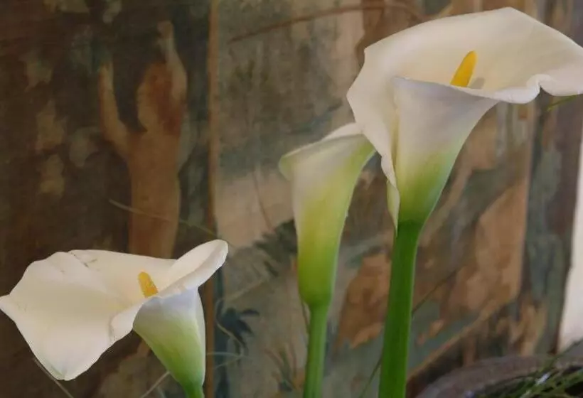 Fotos del hotel Ghironi:  12