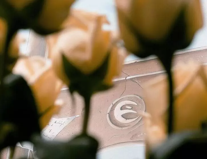 Fotos del hotel Grand Hotel Vesuvio:  7