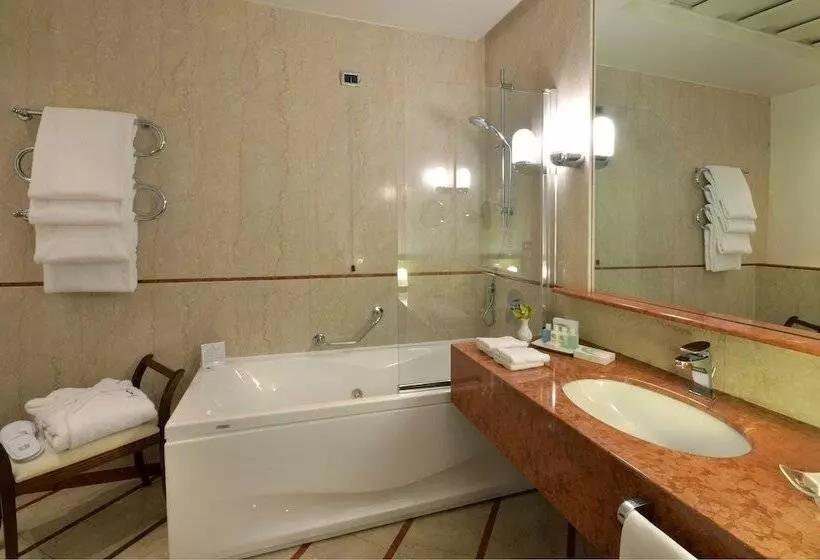 Fotos del hotel Grand Hotel Vesuvio:  18