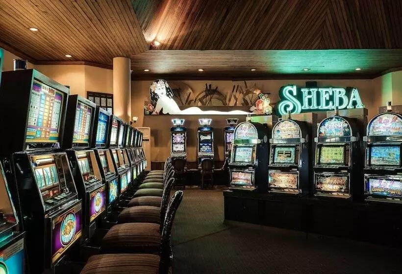 Fotos del hotel Safari Park:  15