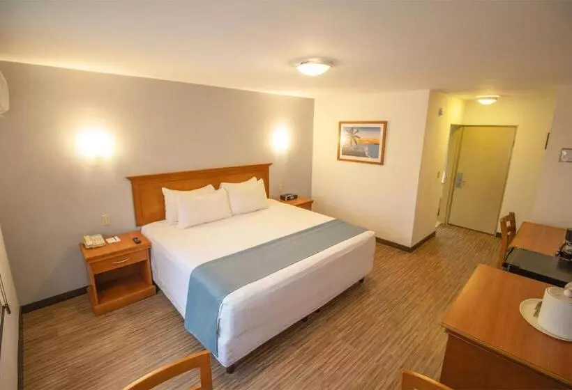 Araiza Palmira  Y Centro De Convenciones