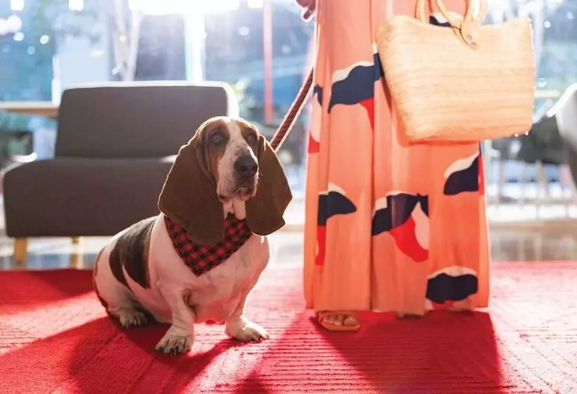 Fotos del hotel Fiesta Inn Aeropuerto Cd Mexico:  14