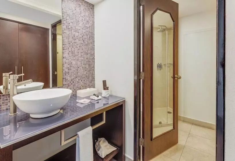 Fotos del hotel Fiesta Inn Aeropuerto Cd Mexico:  8