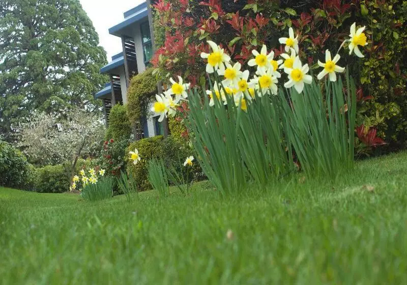 Fotos del hotel Blue Peaks Lodge:  2