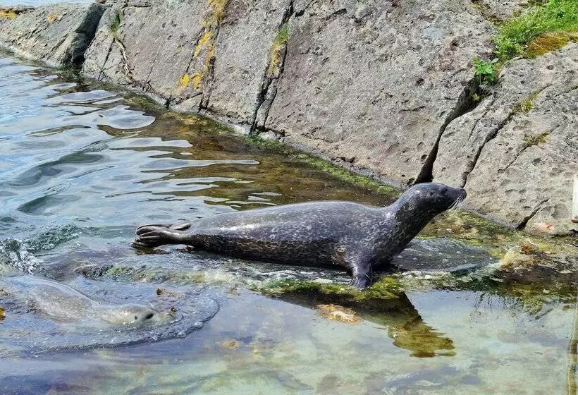 Fotos del hotel Noreg:  14