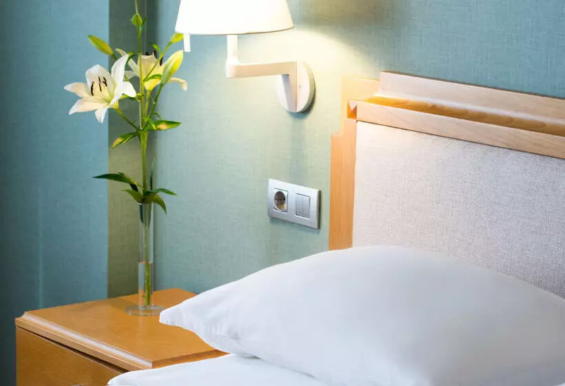 Fotos del hotel Sana Metropolitan Hotel:  16