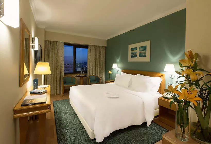 Fotos del hotel Sana Metropolitan Hotel:  13