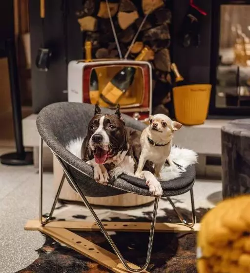 Fotos del hotel Bohinj:  24