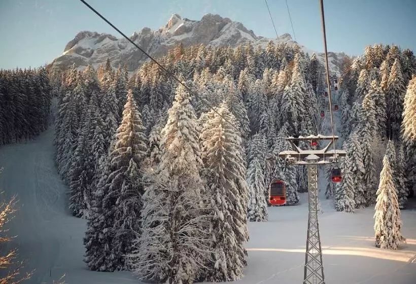 Fotos del hotel Continental Park:  9