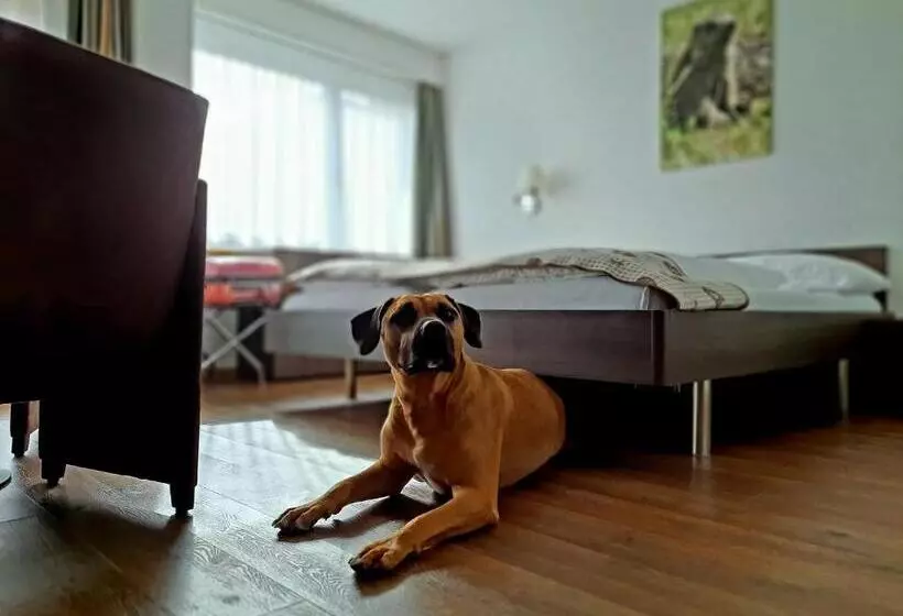 Fotos del hotel Crystal Interlaken:  25