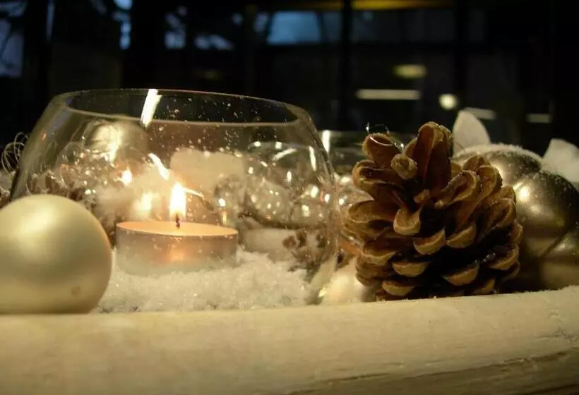 Fotos del hotel Crystal Interlaken:  9